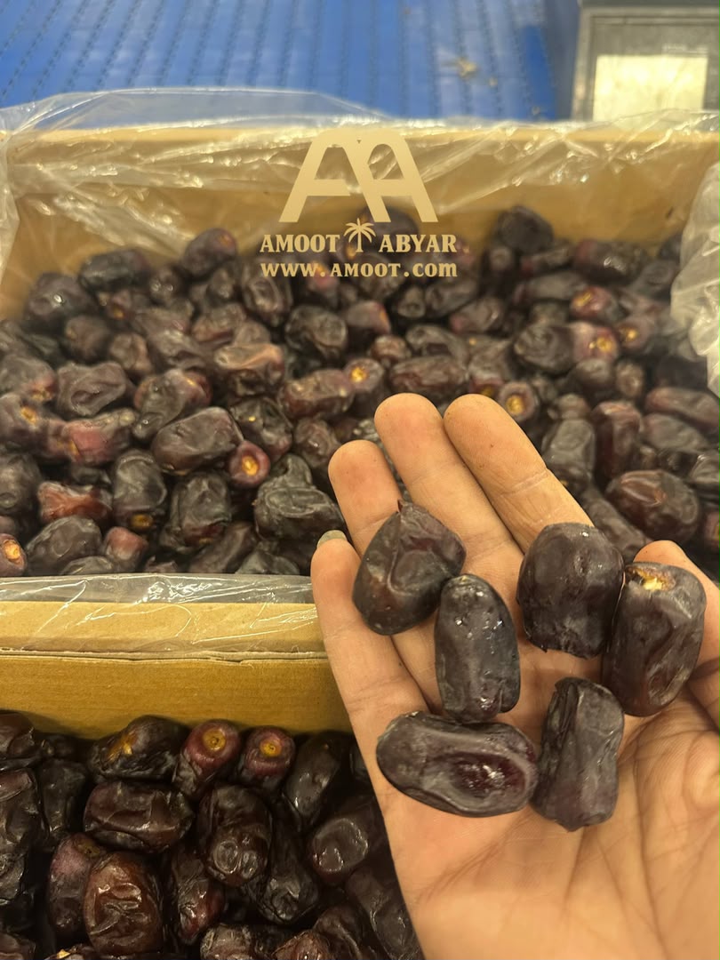 mazafati dates(Bam)-5kg