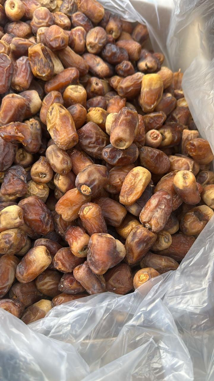 Egyptian dates