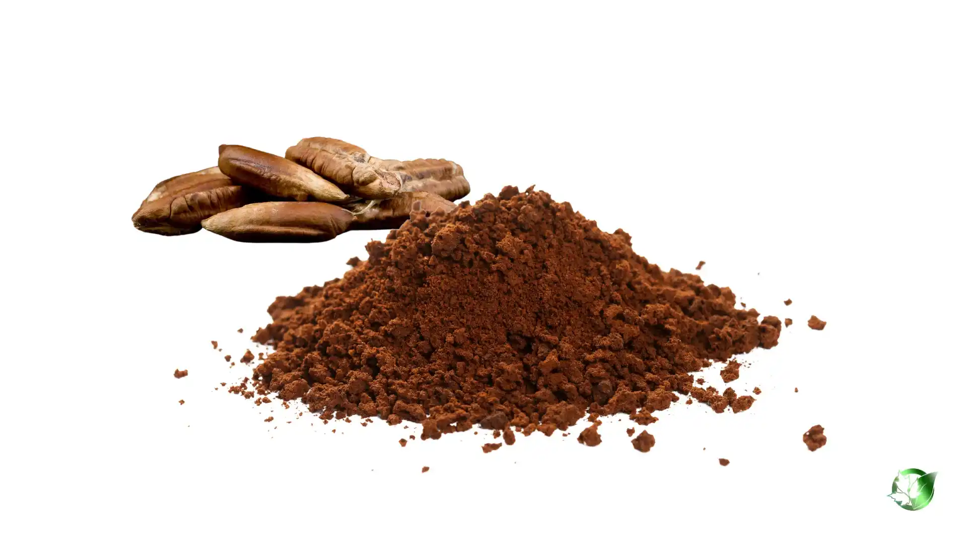 Date kernel powder