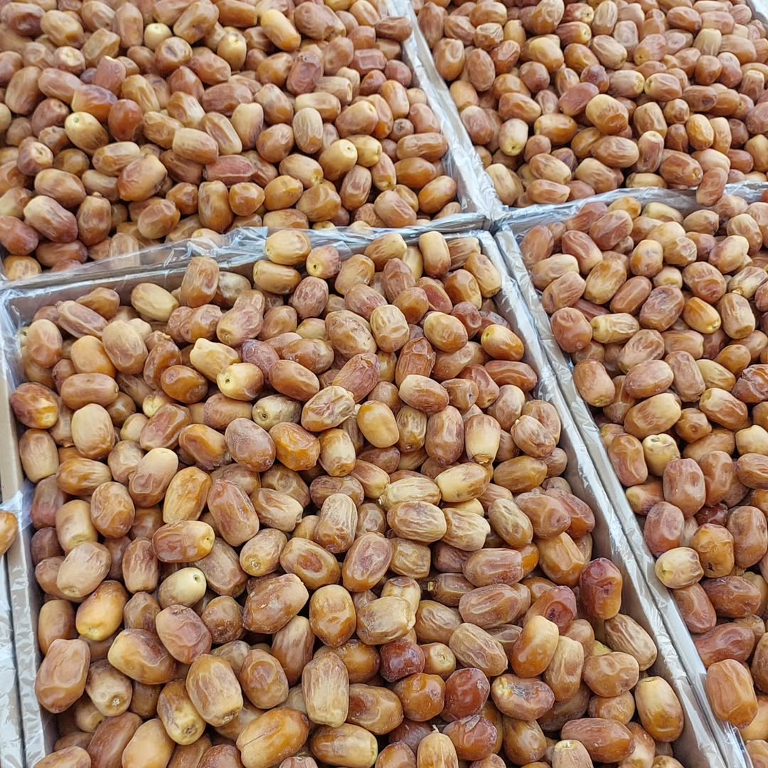 Premium Iranian Zahedi Dates