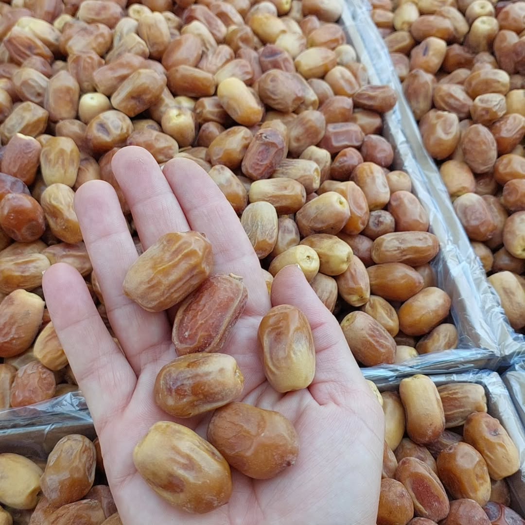 Premium Iranian Zahedi Dates