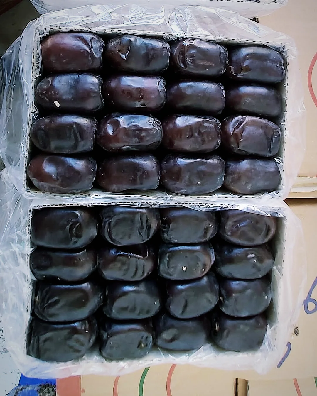 Mazafti Date