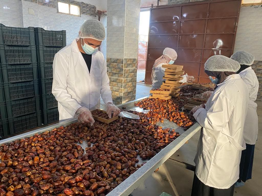 Alzad semi-dry dates , Alzad Medjool dates