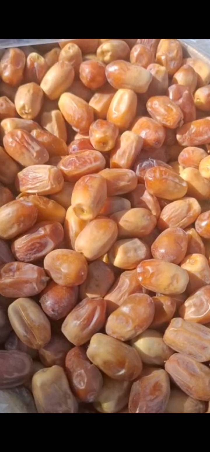Zahedi Date