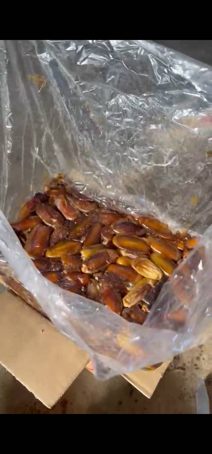 Shahani Dates