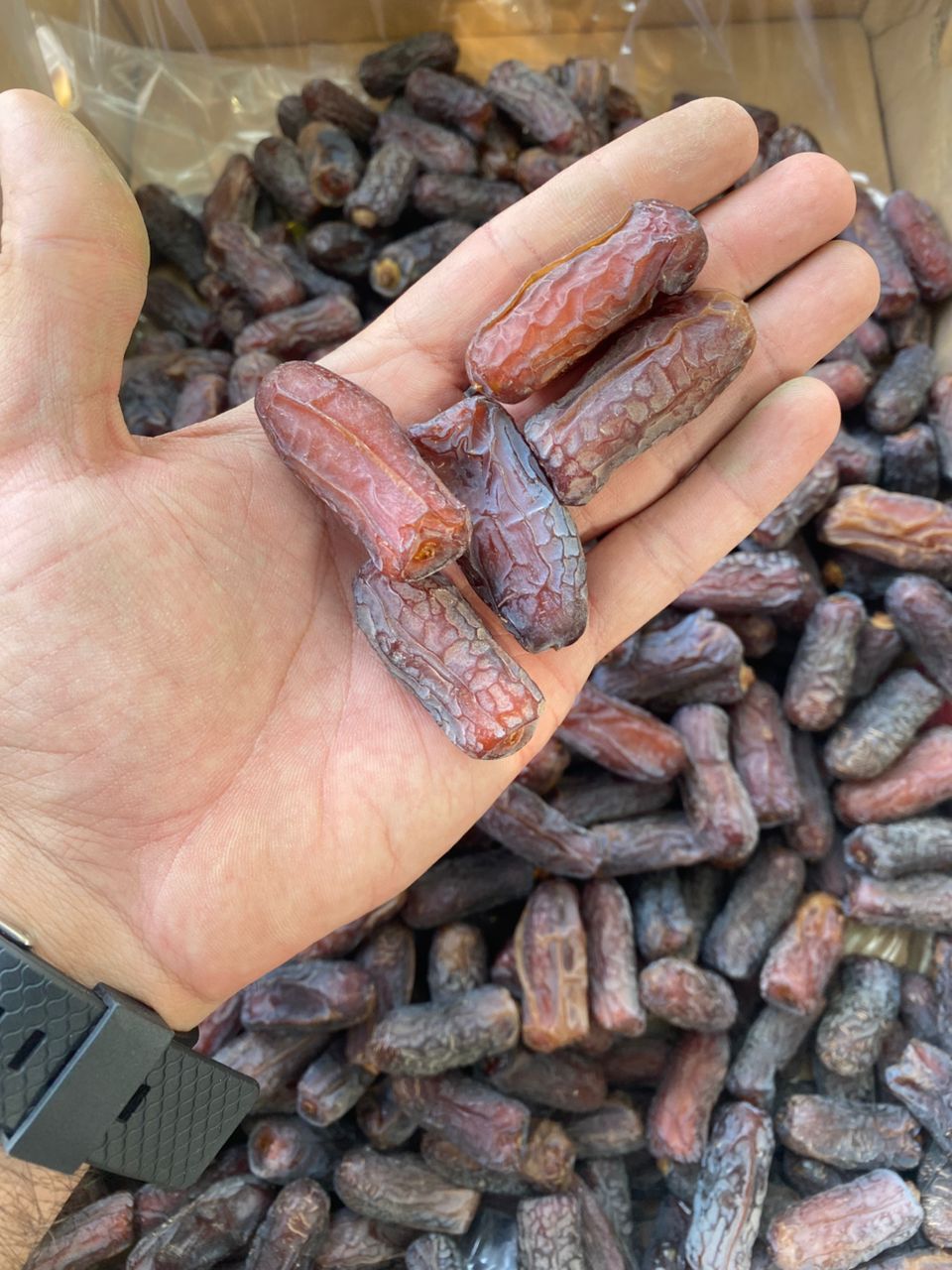 Piarom(Maryami) Dates