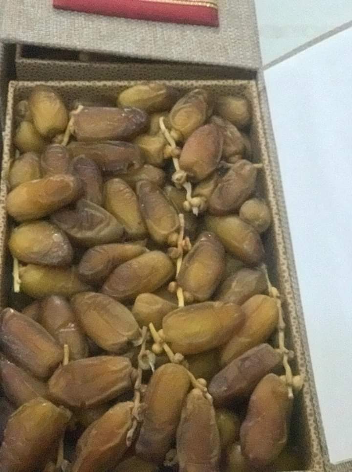 Branched daglet nour premium 