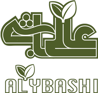 AlyBashi